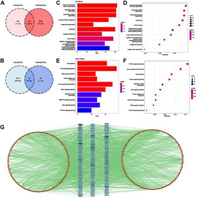 PCDH7 as the key gene related to the co-occurrence of sarcopenia and osteoporosis